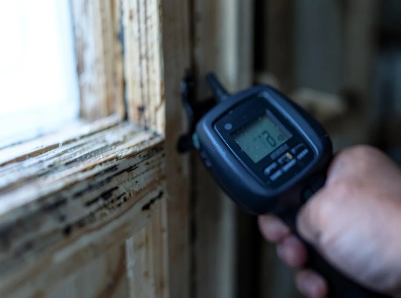 Moisture Inspection And Documentation in Verona, NJ